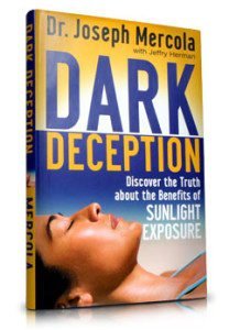 D3 book